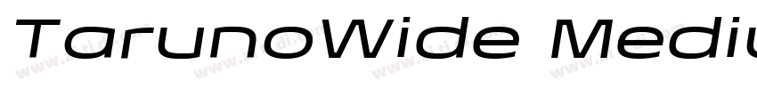 TarunoWide MediumIta字体转换